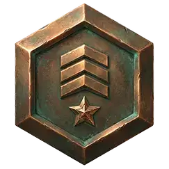 VIP Bronze badge