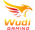 Wudi Gaming